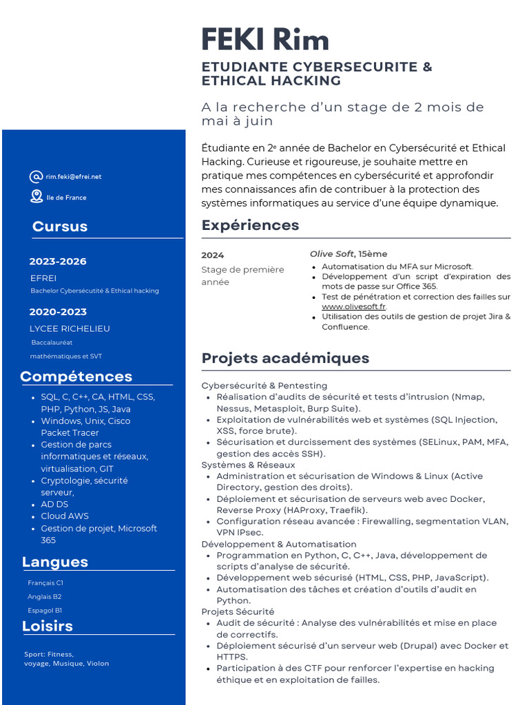 CV Feki Rim | PDF | Internet | Internet et Web