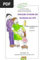 Atencao Saude Da Gestante