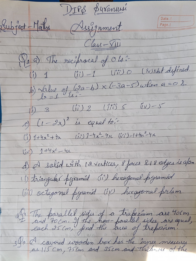 Assignment of Class 8 | PDF