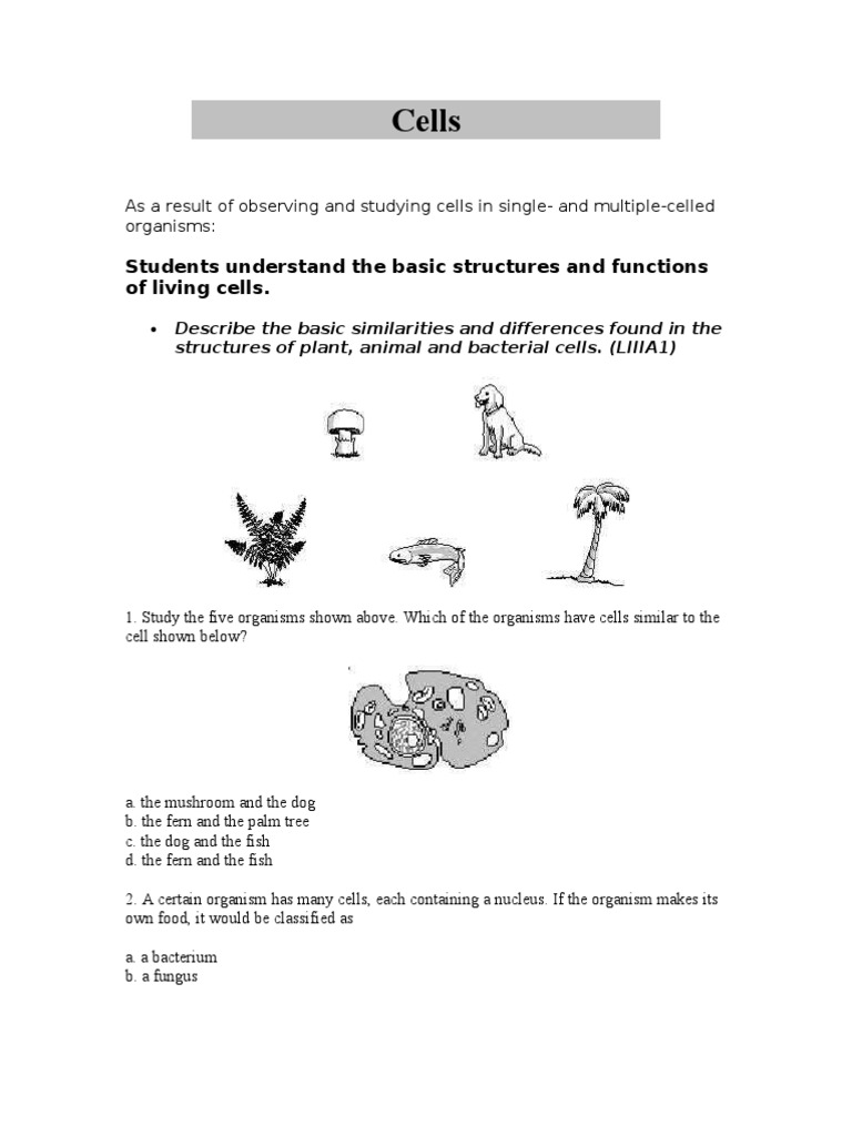 Cells | PDF | Science & Mathematics
