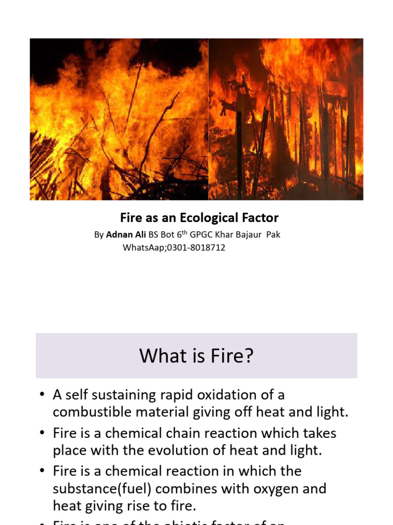 Fire As An Ecological Factor | PDF | Fires | Ecology