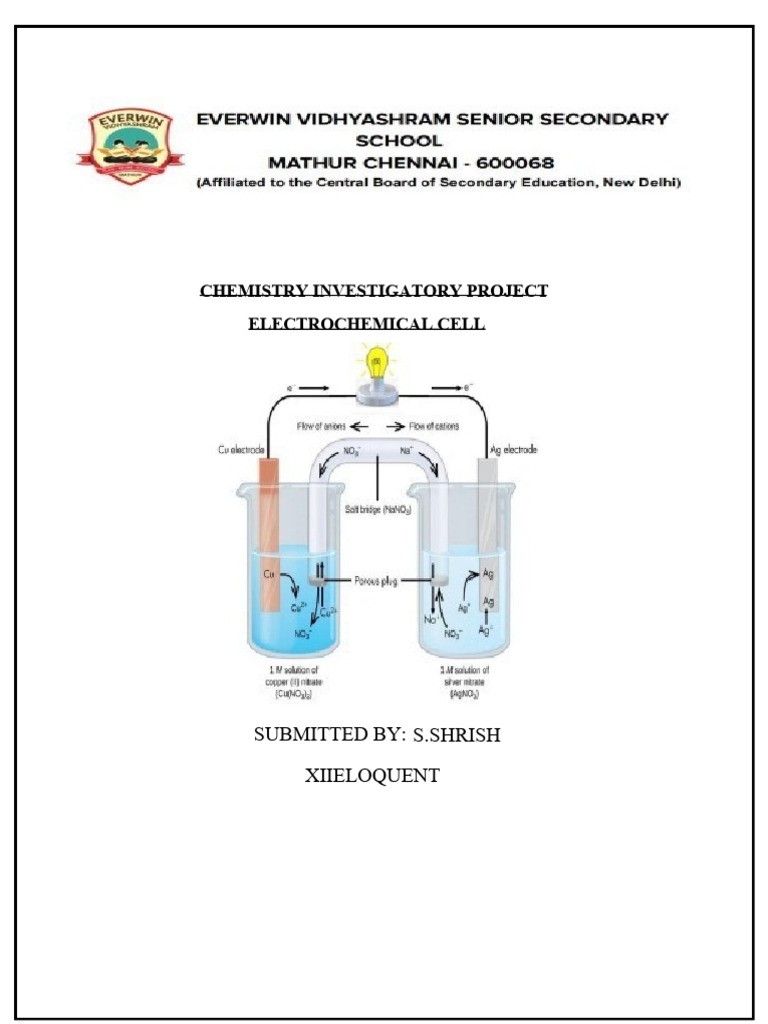 Chemistry Project True 4 Side Border 2 (2) Zh0 | PDF | Redox | Electrode