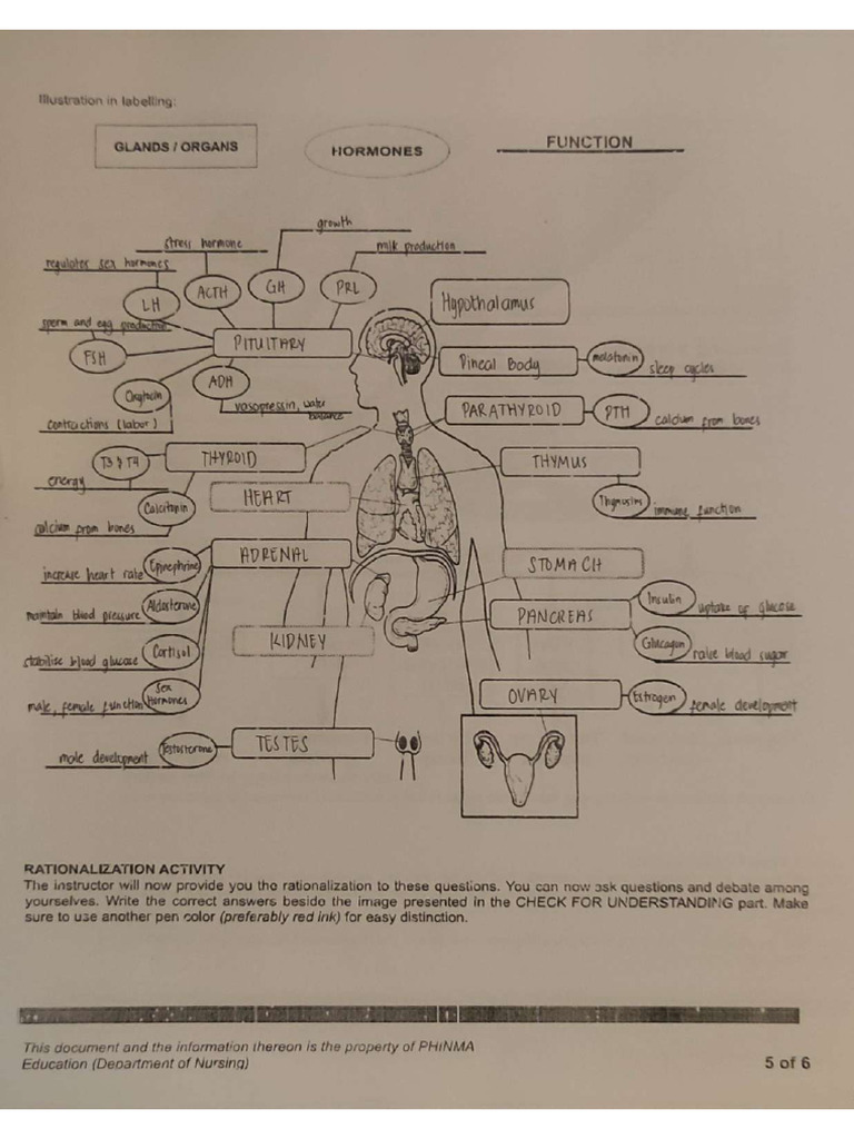 Lab 26 | PDF