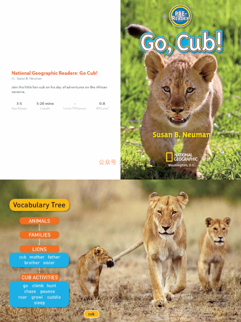 05-Go Cub | PDF