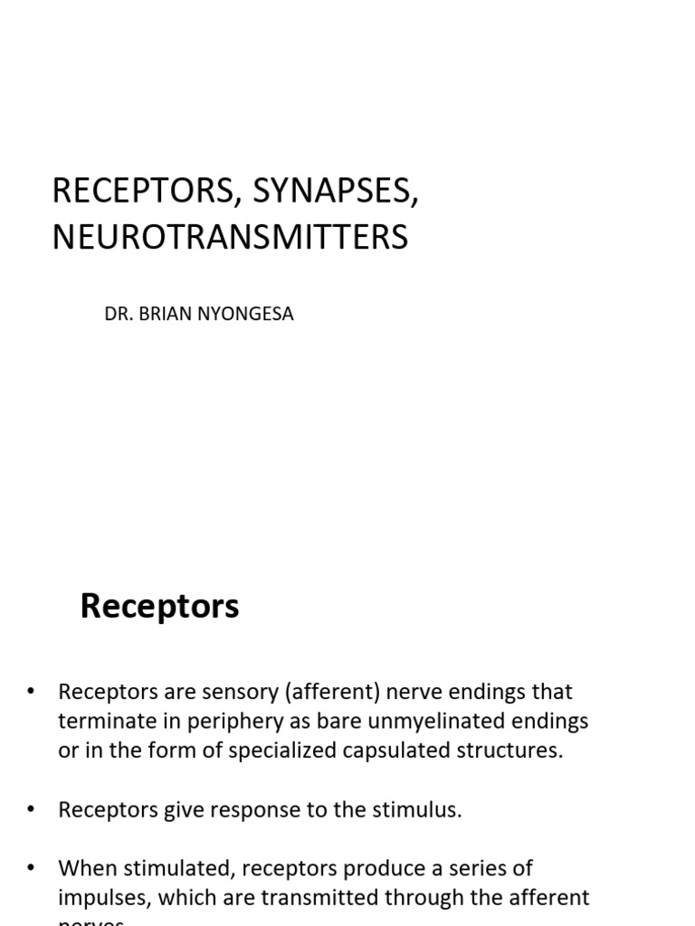 Receptors, Synapses, Neurotransmitters | PDF | Chemical Synapse ...