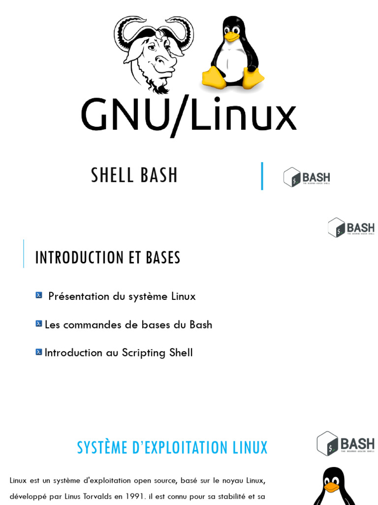 Shell Bash - VF | PDF | Linux | Gnou
