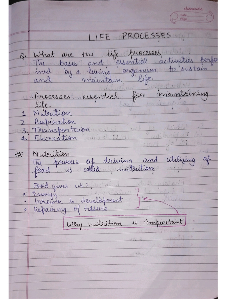 Life Process | PDF