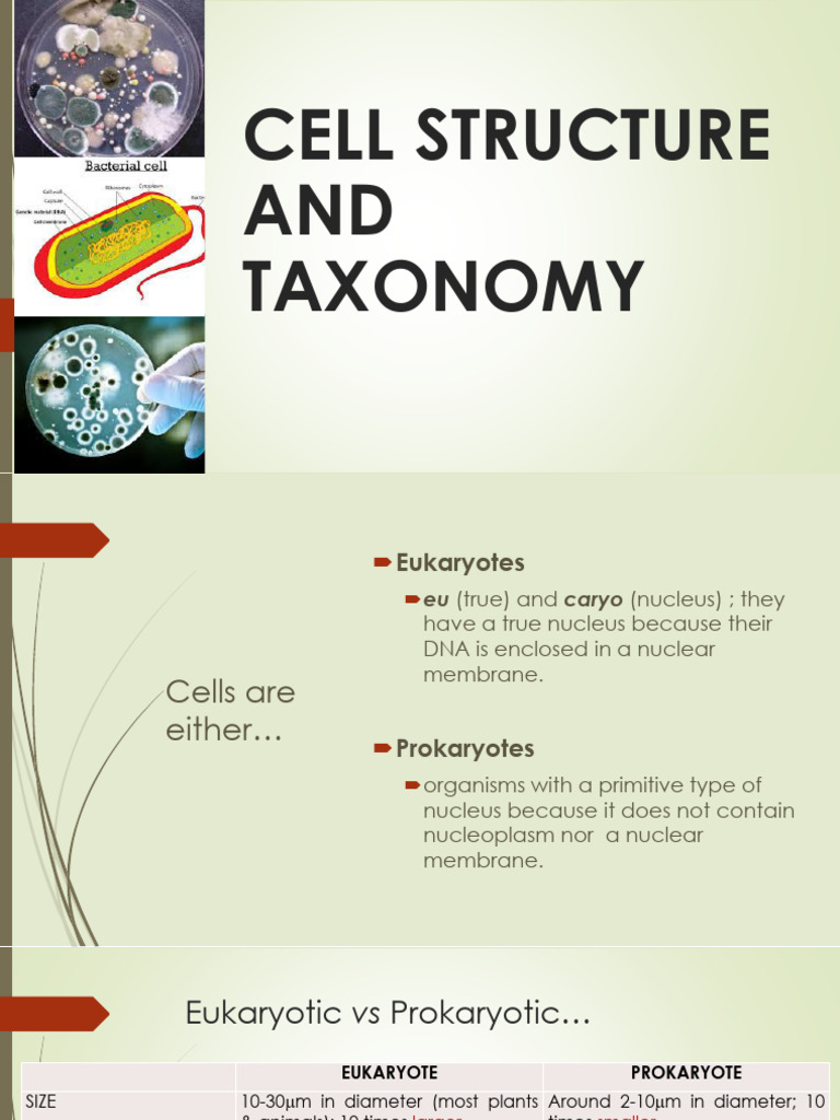 02 Cell Structure and Taxonomy | PDF | Cell (Biology) | Bacteria