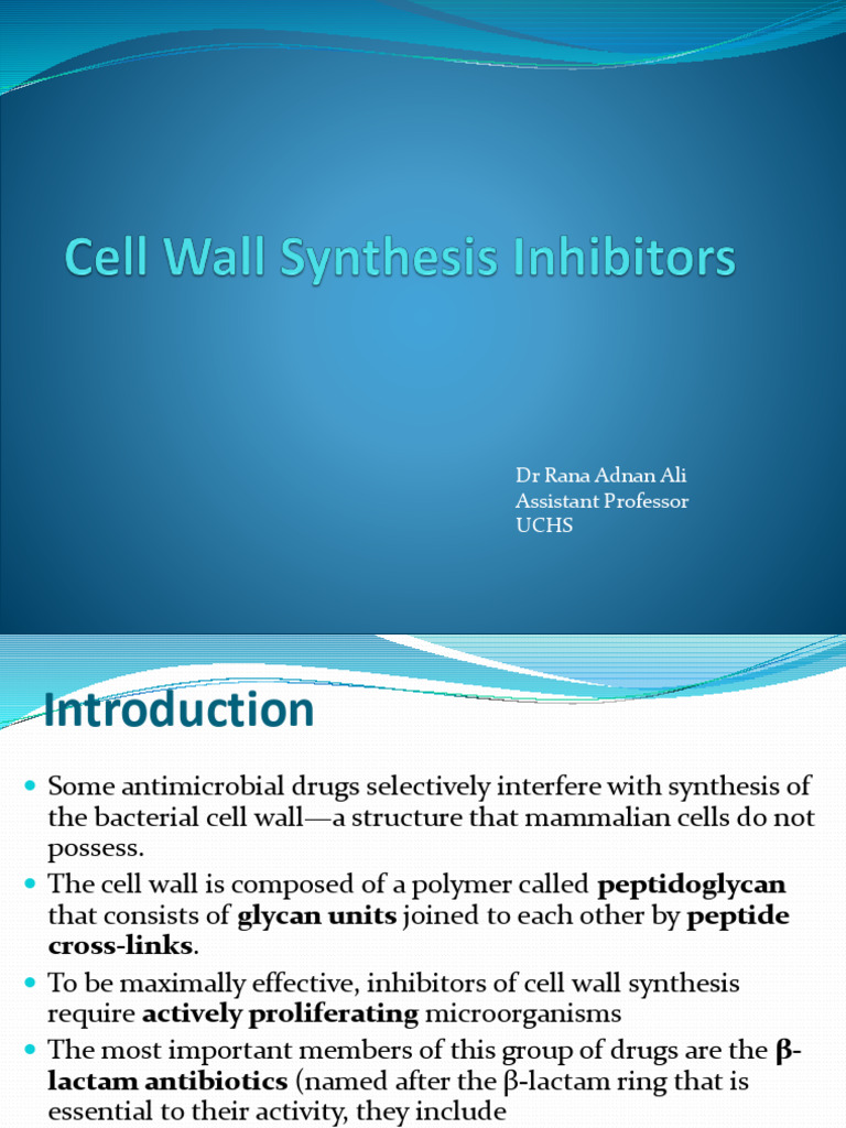 Cell Wall Inhibitors | PDF | Penicillin | Beta Lactamase