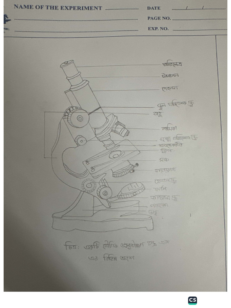 Biology Practical 1 Part2 | PDF