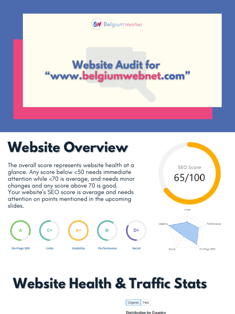 Belgium WebNet - Website Audit Report | PDF