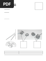 Universal Combo Parts List PDF | PDF | Valve | Pump