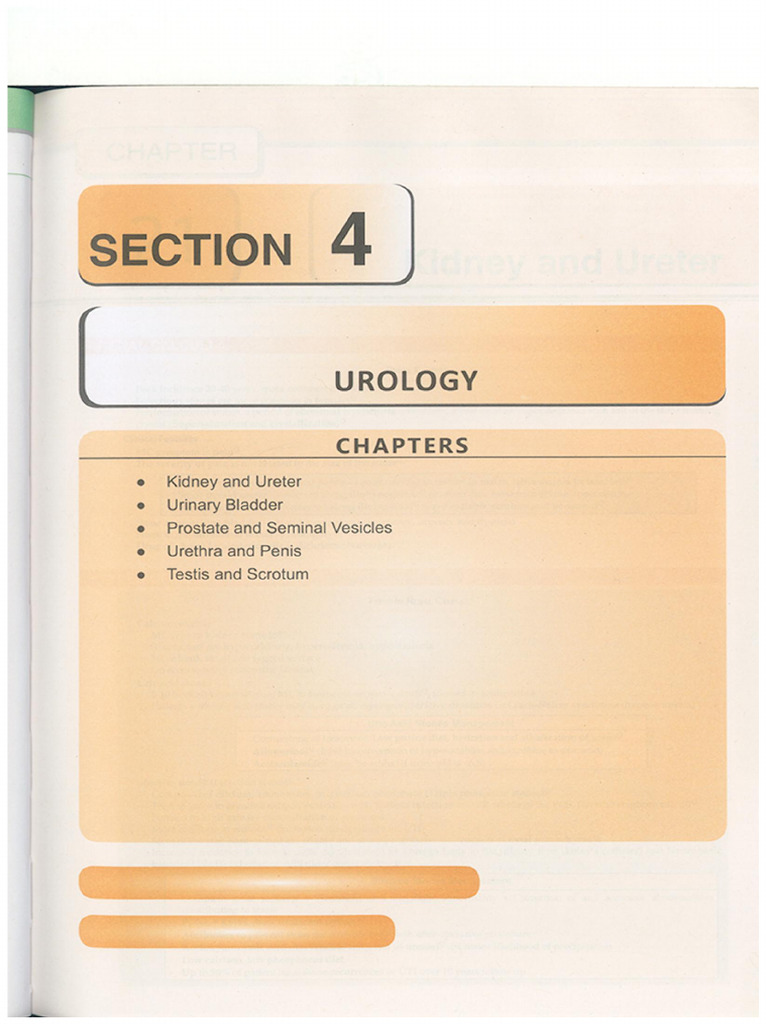 Urology | PDF