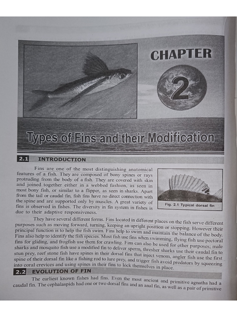 Types of Fins and Their Modification | PDF