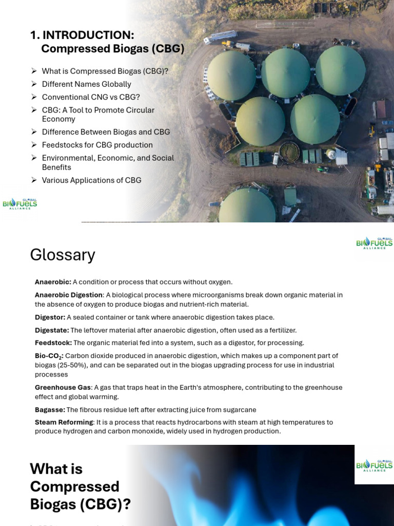 CBG Simple Details Module 1 | PDF | Anaerobic Digestion | Biogas