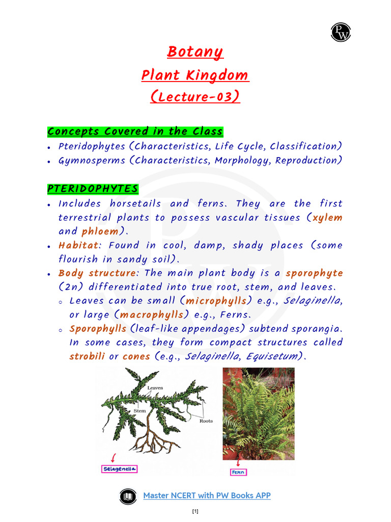Plant Kingdom 03 Summary Notes | PDF | Fern | Branches Of Botany