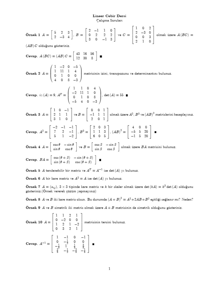 Lineer Cebir Soru | PDF