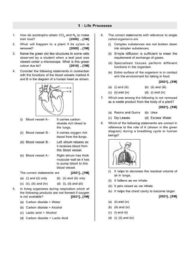 Class X BIOLOGY Chapterwise PYQ | PDF