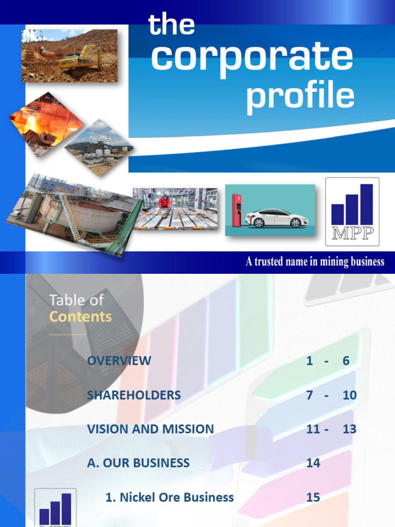 Comprehensive Company Profile MPP | PDF