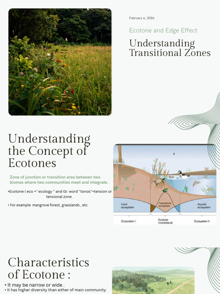 Presentation - Understanding Transitional Zones - 20260208 - 150506 ...