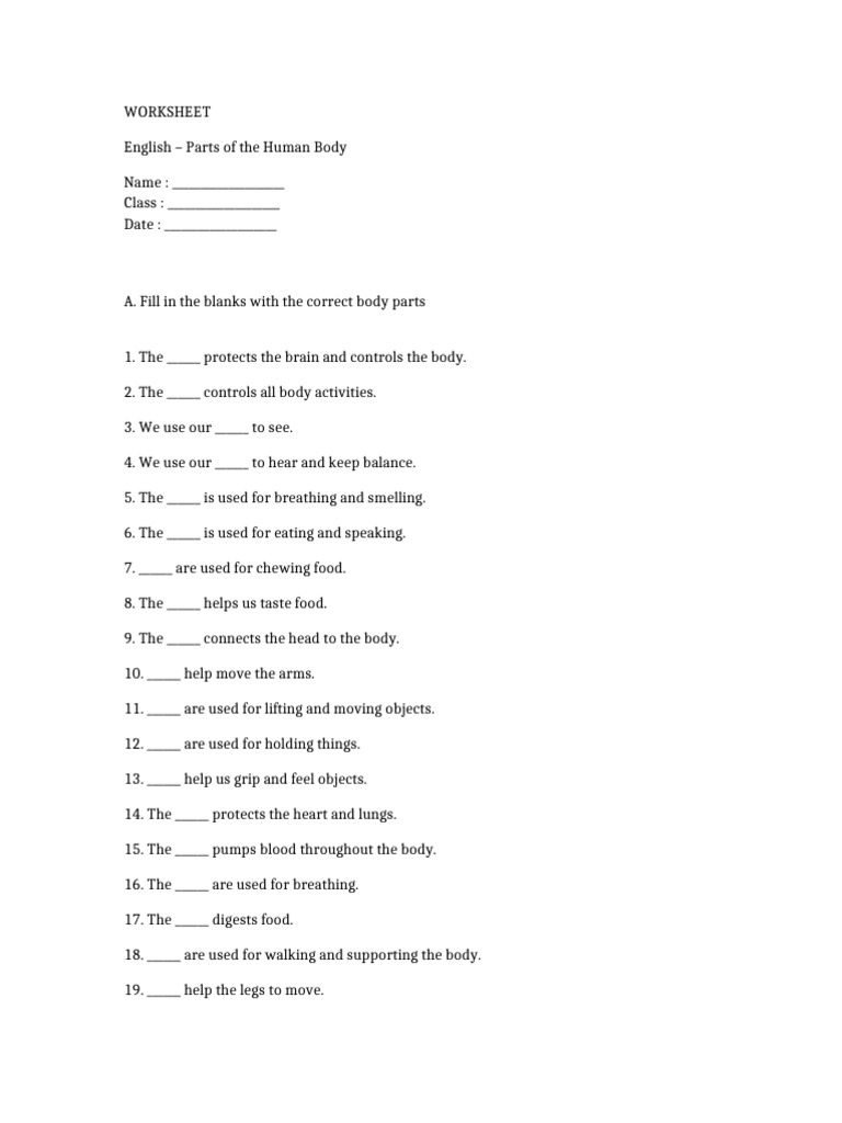 Exercise | PDF