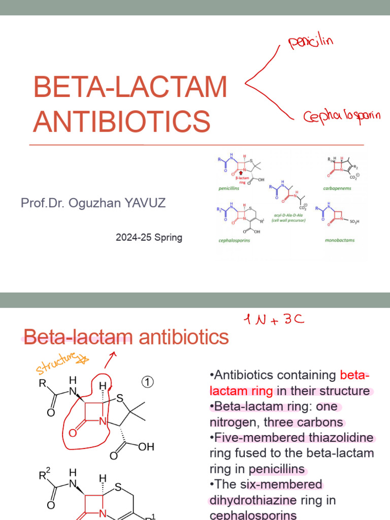 Beta-Lactam Antibiotics | PDF | Penicillin | Beta Lactamase