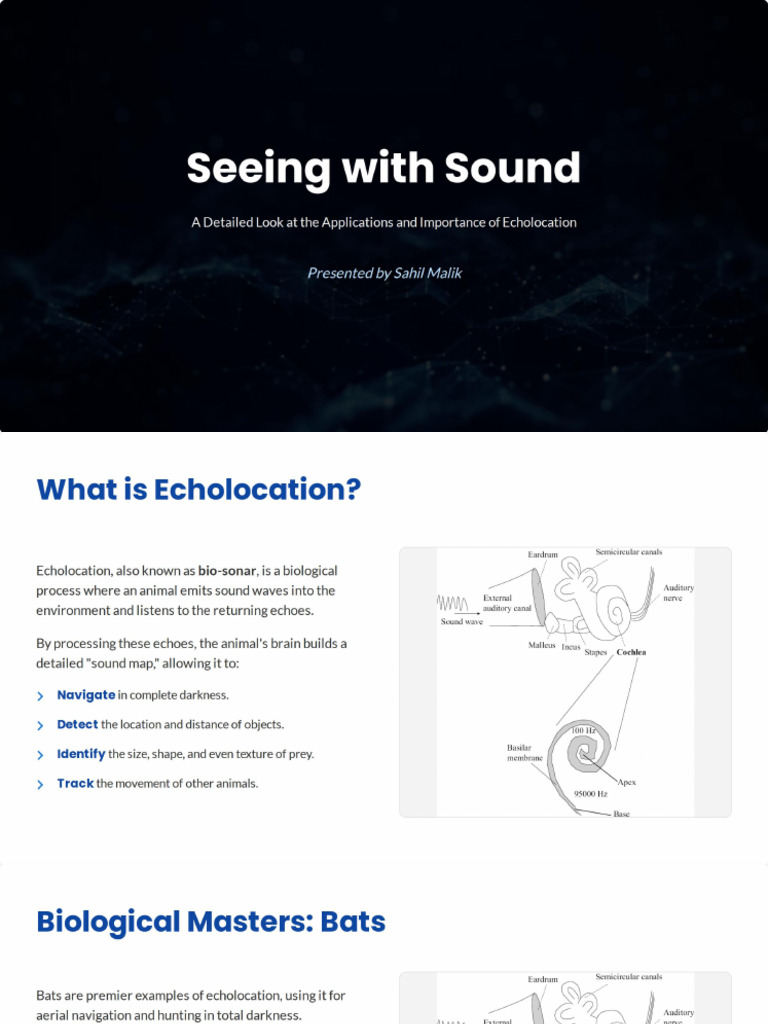 Echolocation Applications and Importance | PDF
