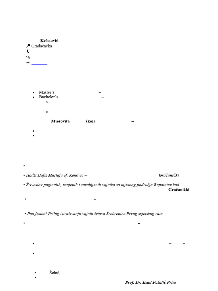 Curriculum Vitae Meldin English | PDF | Sarajevo | Bosnia And Herzegovina