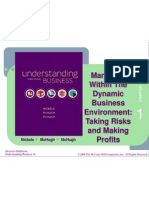 Managing Within The Dynamic Business Environment: Taking Risks and Making Profits