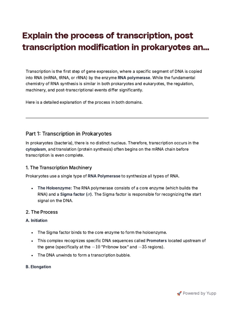 Process of Transcription | PDF
