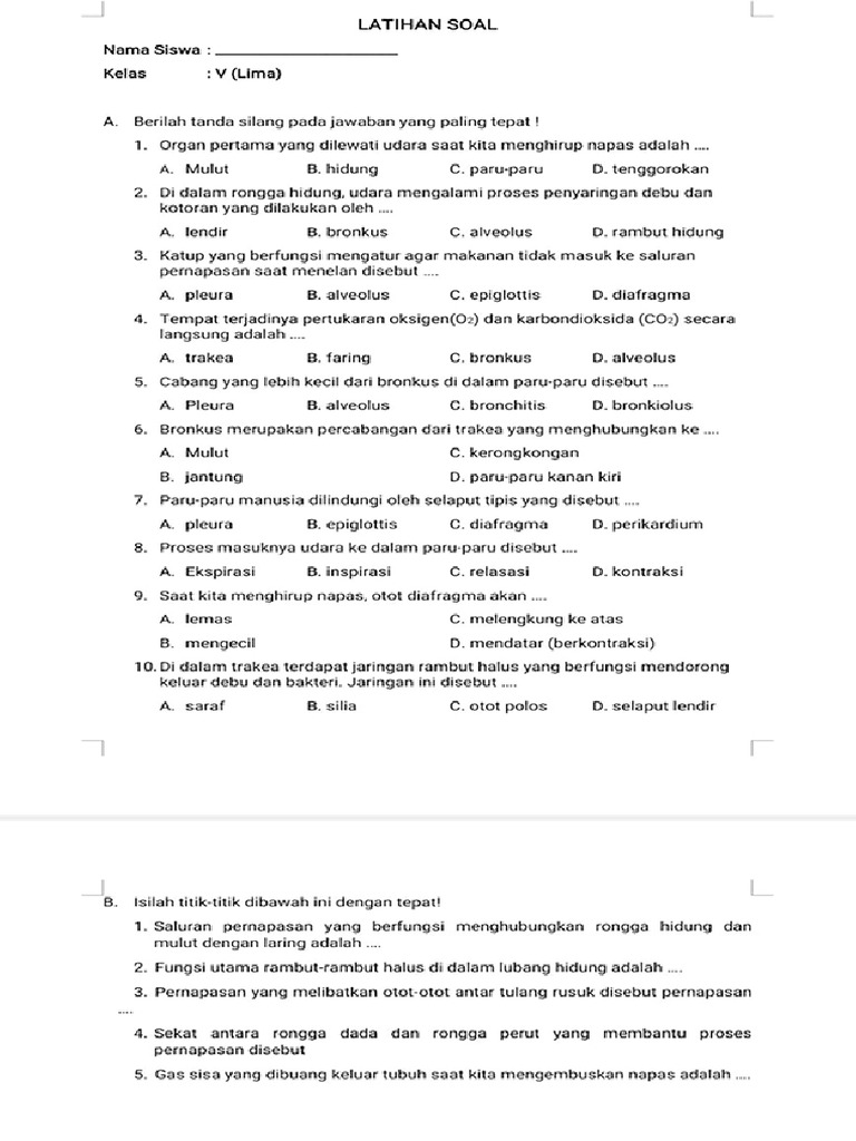 DDD | PDF