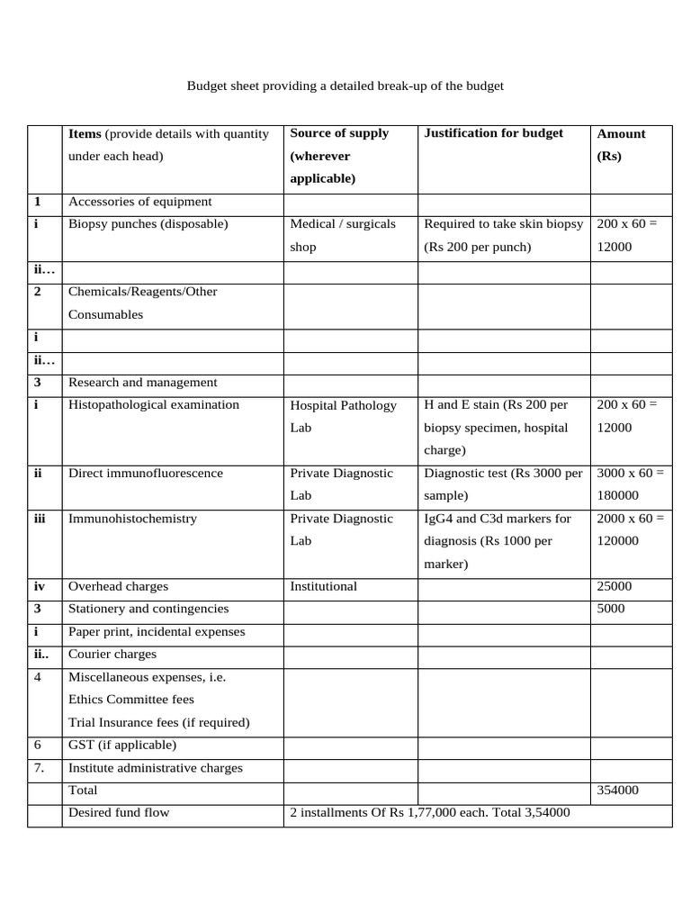 Budget Sheet | PDF