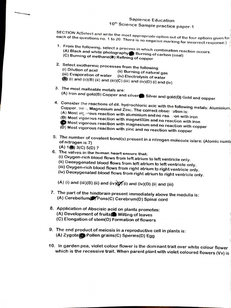 Sample Paper 1 | PDF