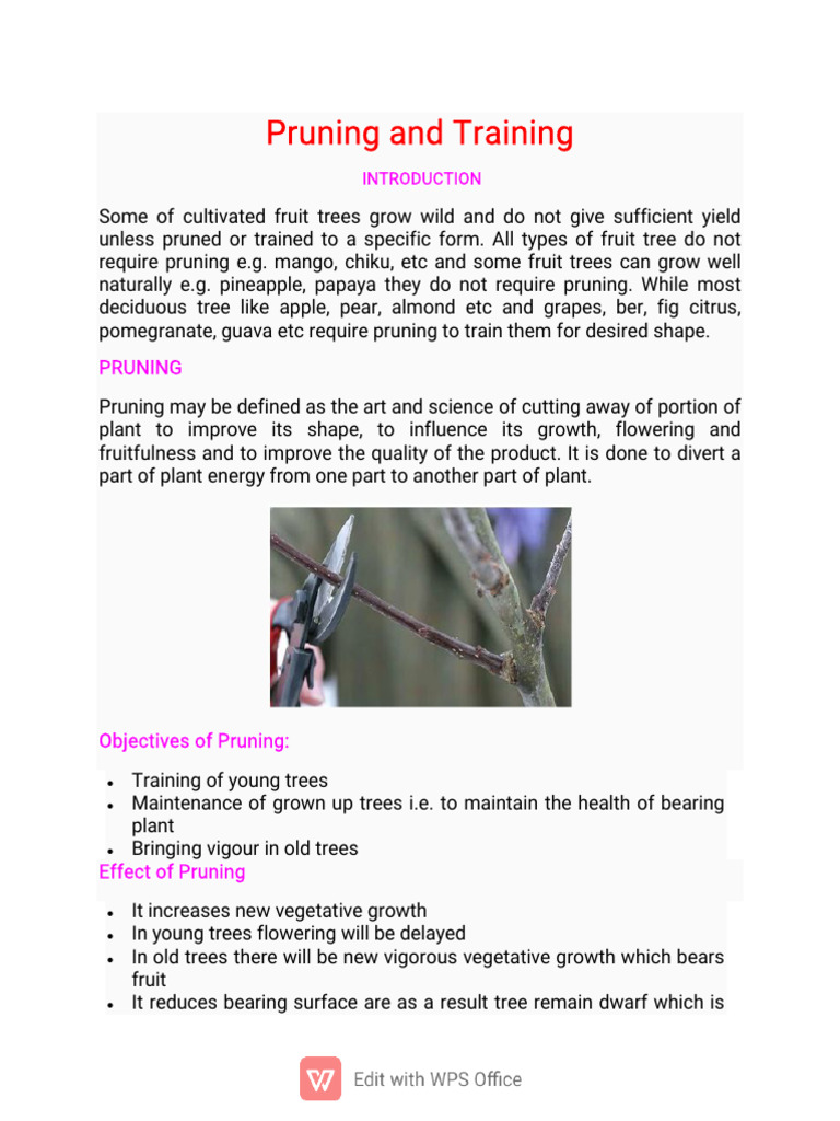 Pruning and Training of Hort | PDF | Plants