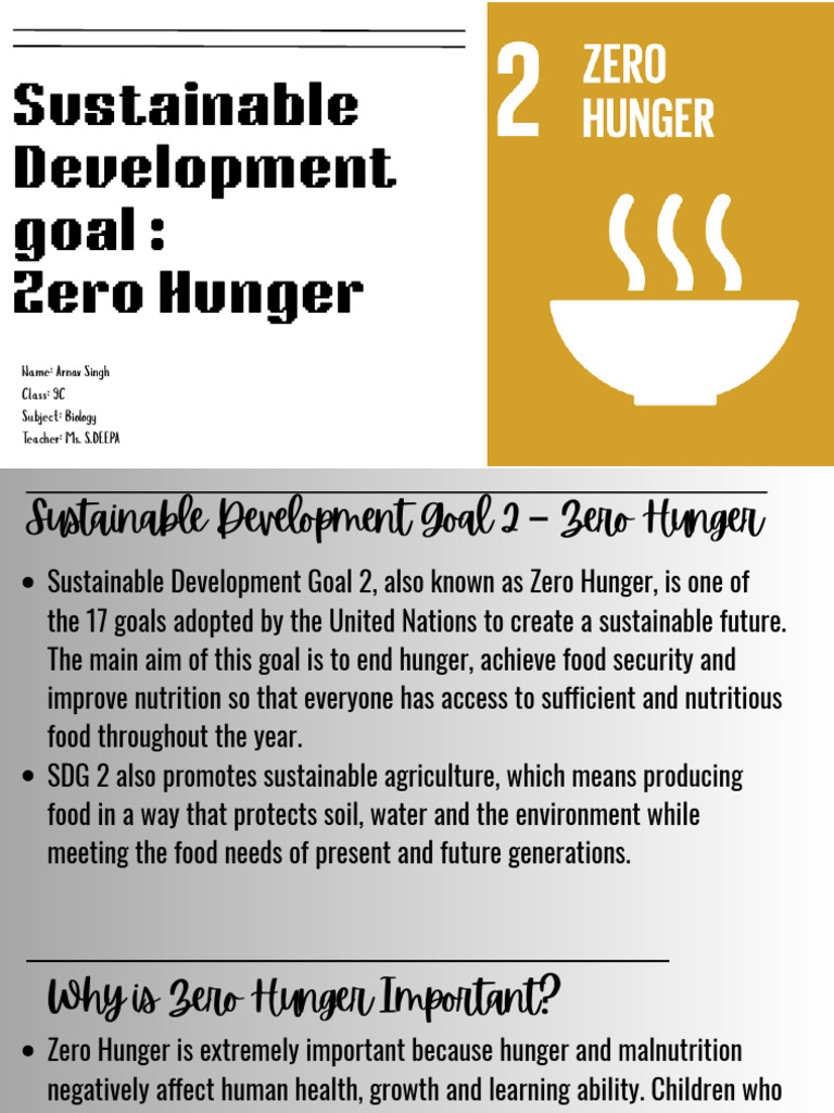 Sustainable Development Goal Zero Hunger - 20260120 - 215245 - 0000 ...