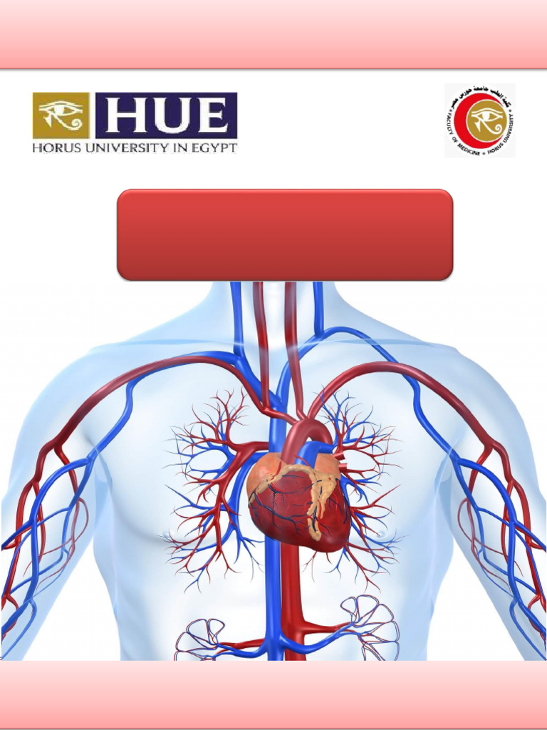 Anatomy Notes, CVS Module 1 New Edition | PDF | Heart Valve | Coronary ...