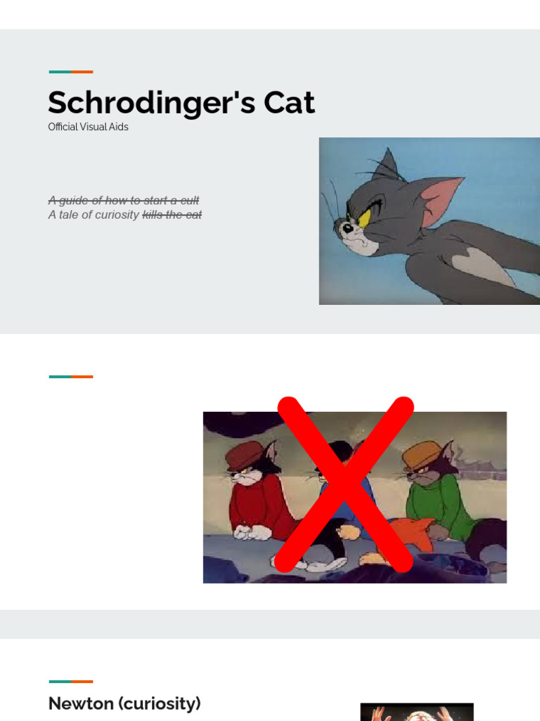 Schrodinger's Cat Official Visual Aids | PDF