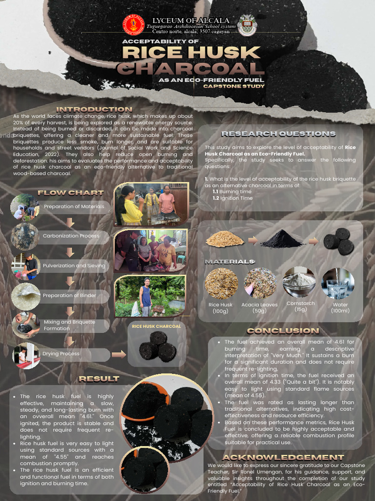 Rice Husk Charcoal | PDF | Charcoal | Combustion