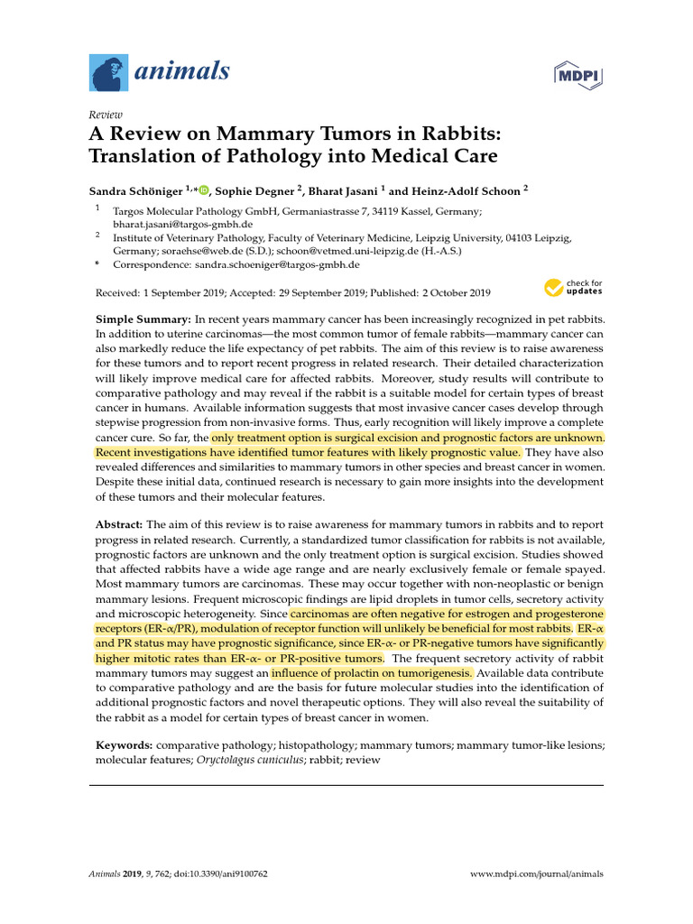 A Review On Mammary Tumors in Rabbits | PDF | Carcinoma | Breast Cancer