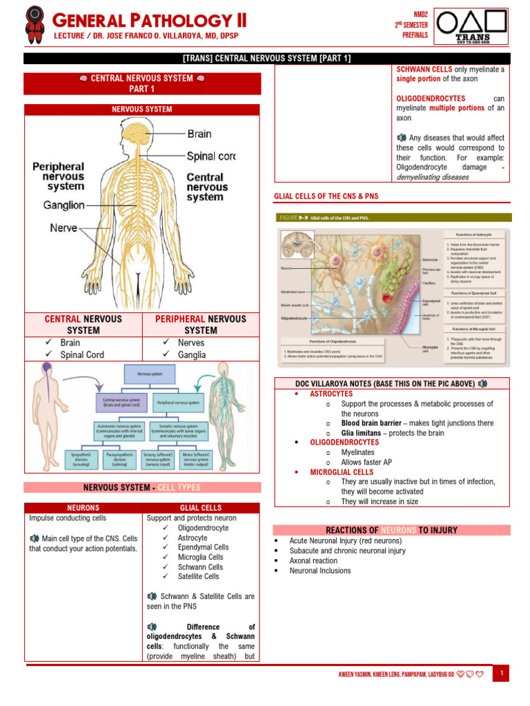 (GP Lec) Prefi 10 - Cns 1 Part 1 (Dr. Villaroya) | PDF | Central ...