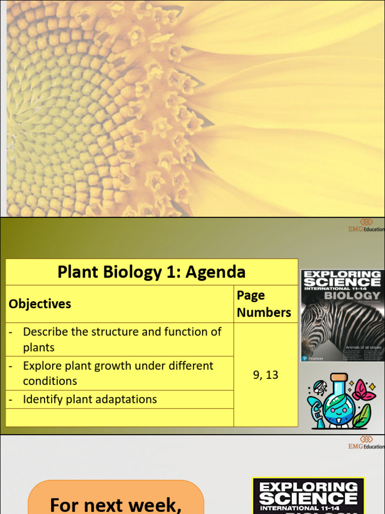 Plant Biology 1 - Structure and Function | PDF | Plants | Fungus