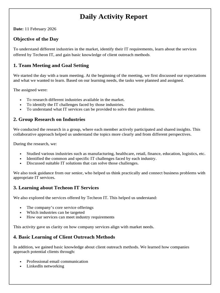 Daily Activity Report | PDF