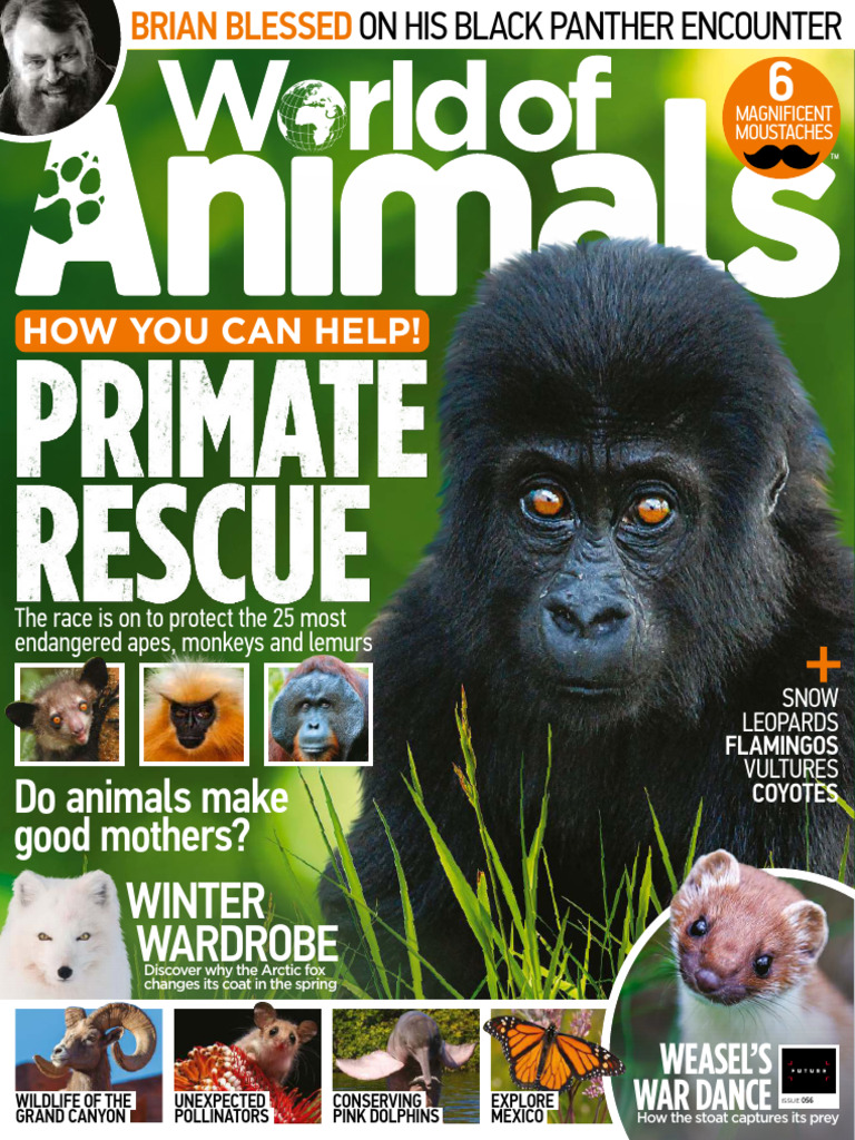 (World of Animals 2018-Mar) - (2018) | PDF | Lion | Sex