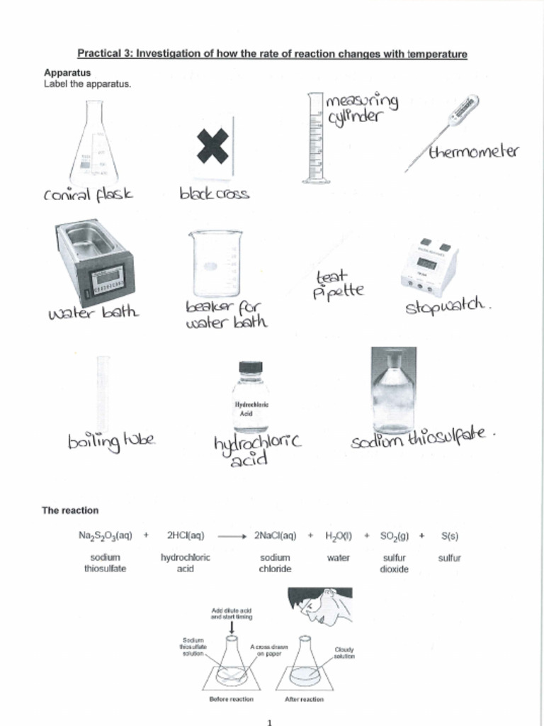 RP3 | PDF