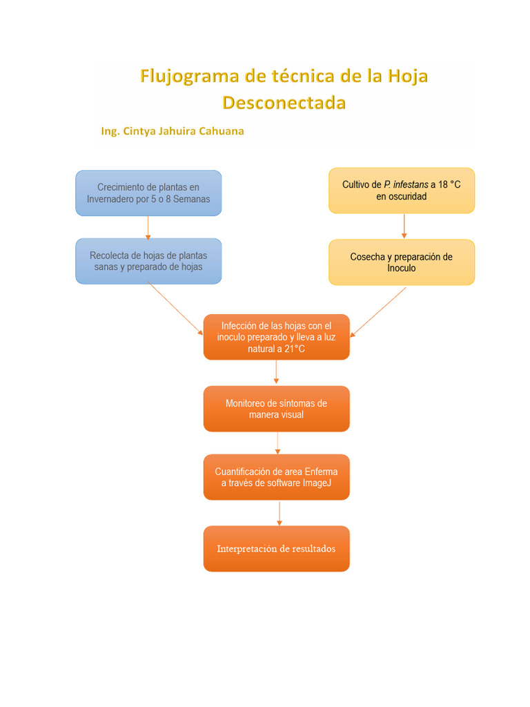 Hoja Desconectada Cintya Jahuira | PDF