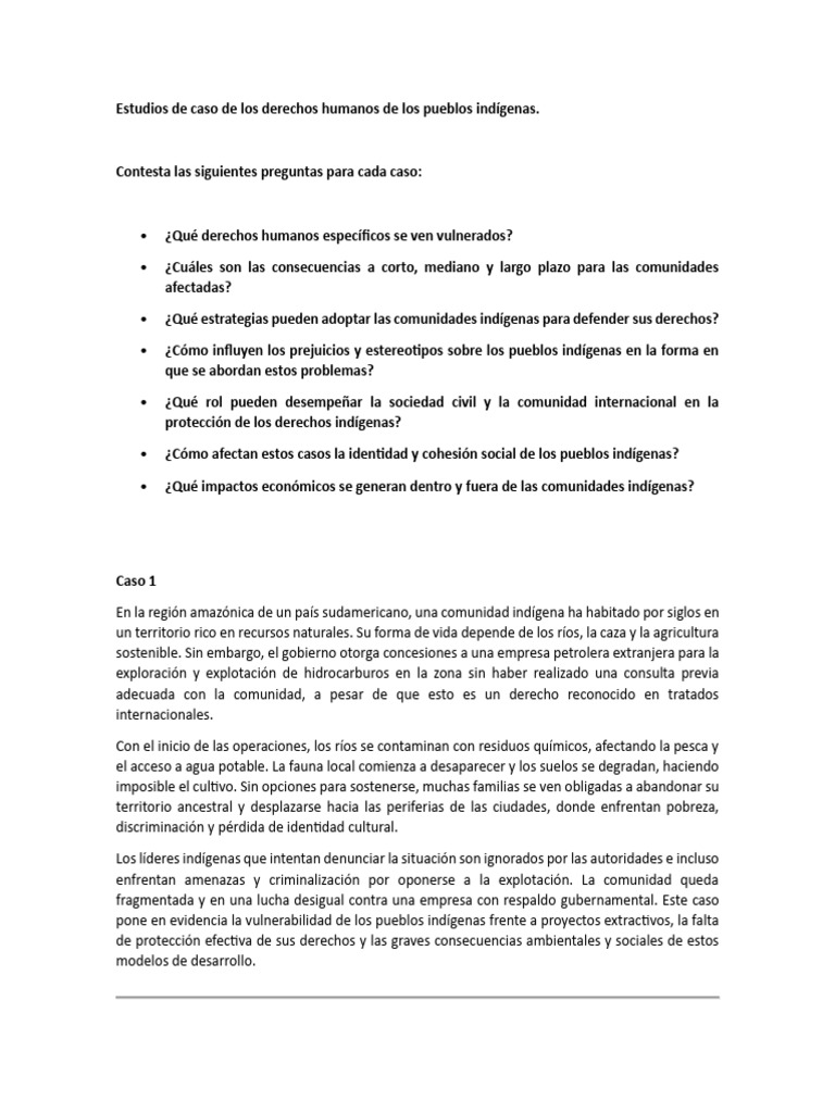 Estudios de Caso de Los Derechos Humanos de Los Pueblos Indígenas | PDF ...
