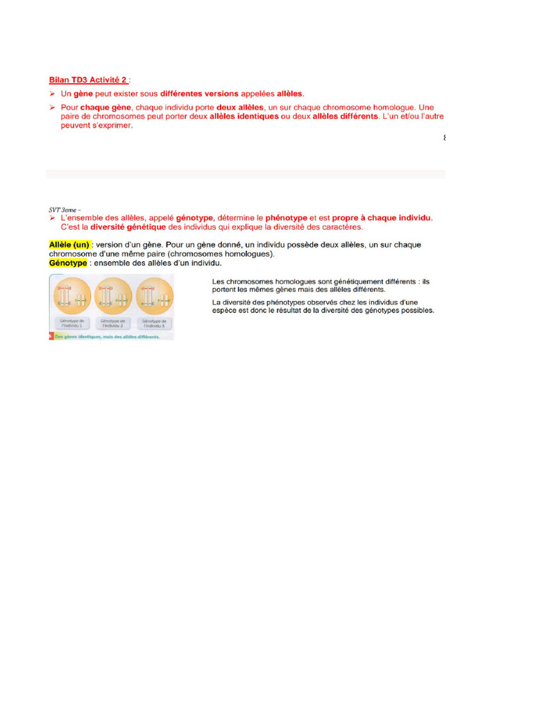 Bilan TD3 Activité 2 Alleles | PDF