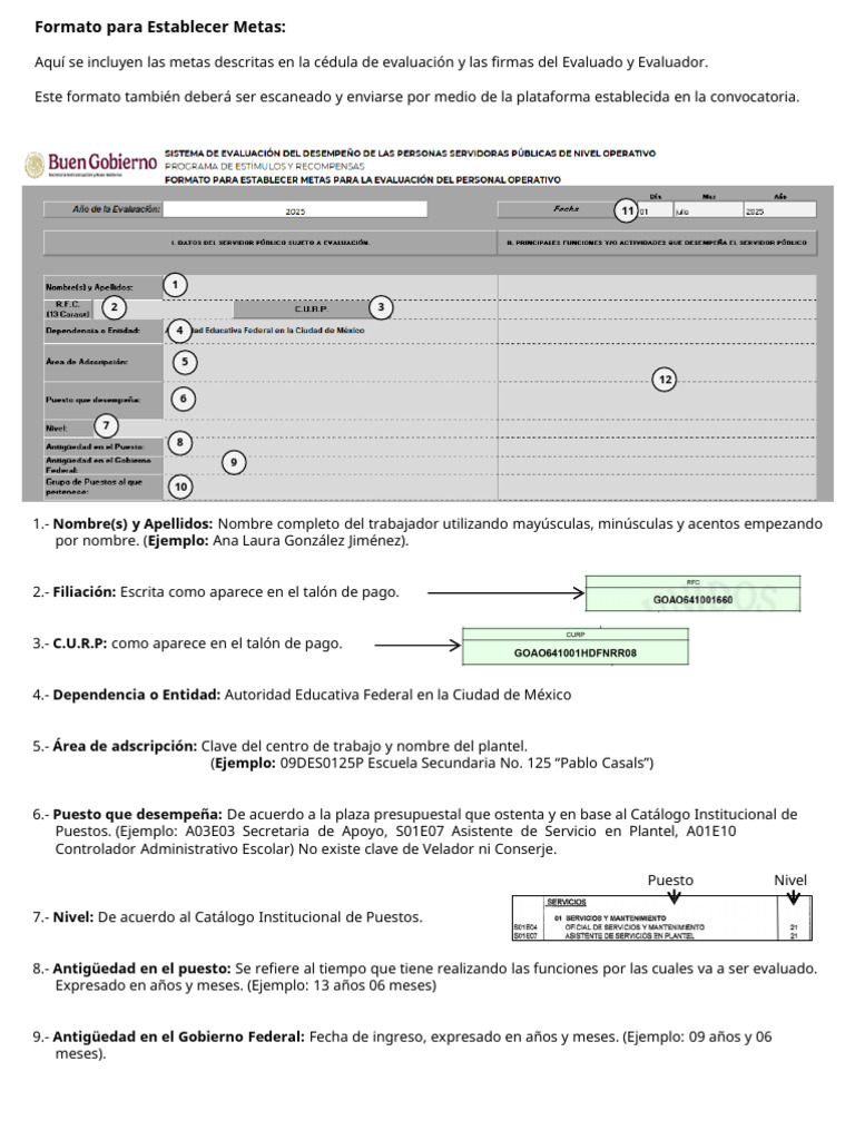 Manual Llenado Formato Metas | PDF