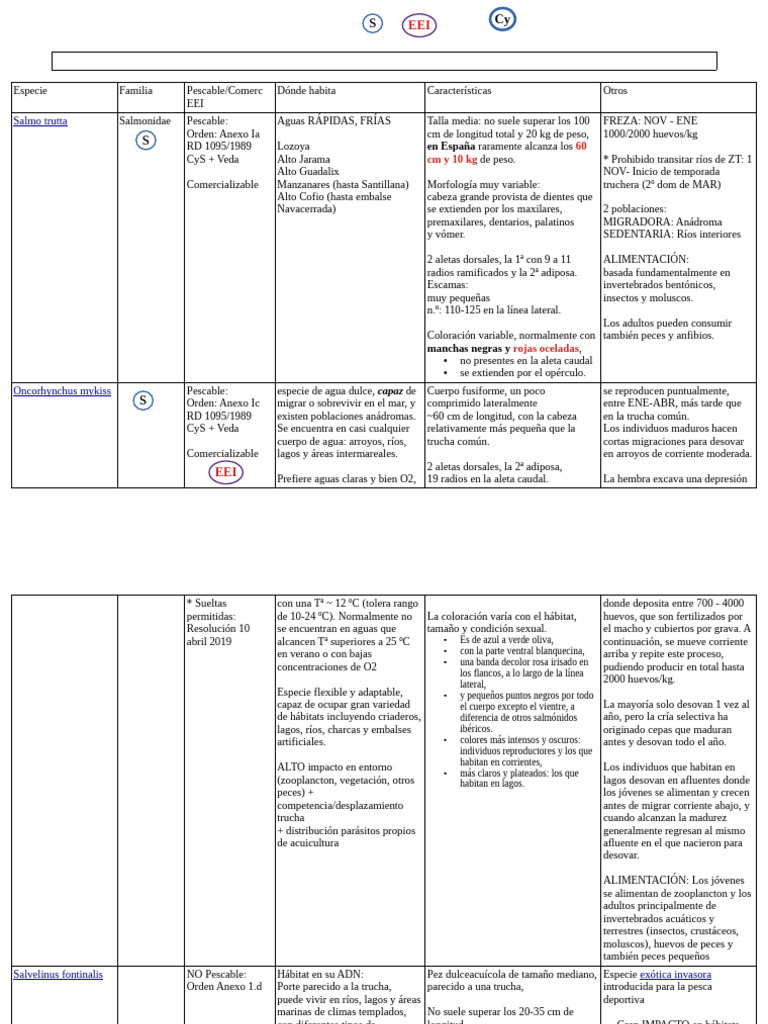 Cuadro | PDF