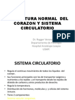 Estructura Normal Del Corazon y Sistema Circulatorio